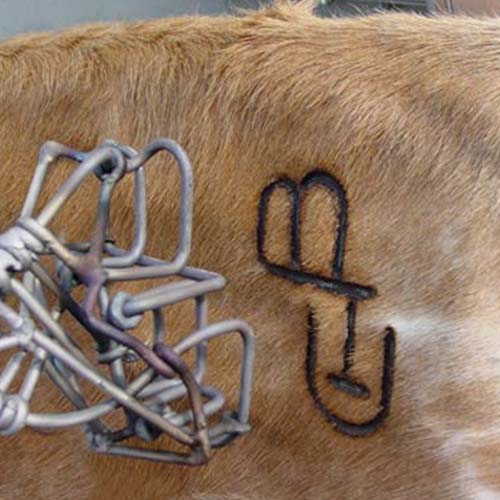 Electric Livestock Brander